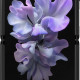 Samsung Galaxy Z Flip 256GB Mirror Black